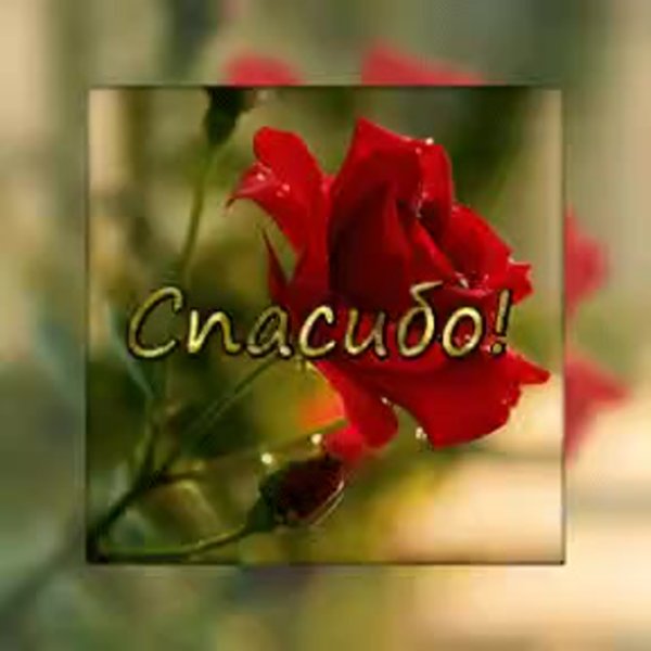 Открытки спасибо и вам того же желаю