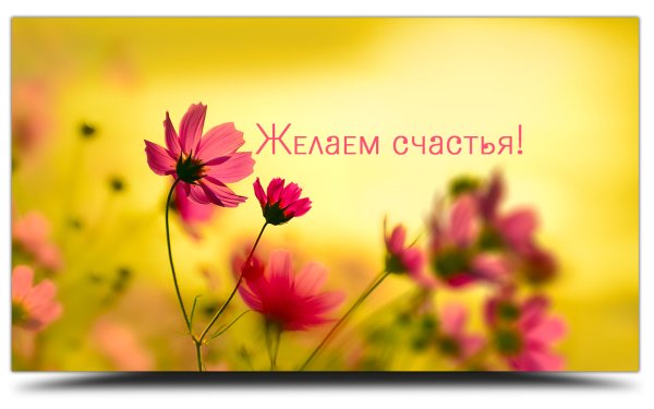 Мы желаем тебе счастья