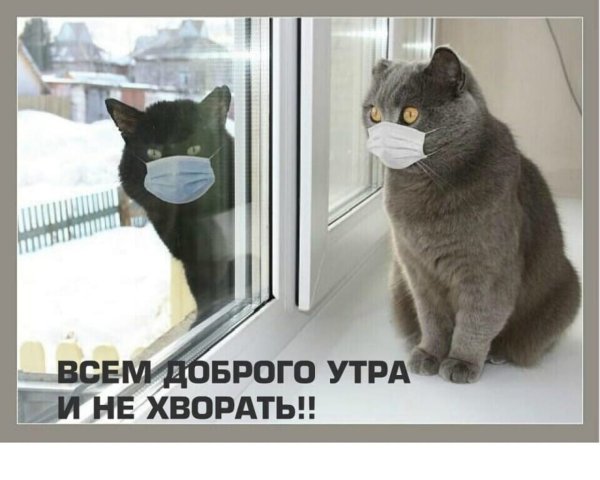 Утро прекрасное в двери стучится