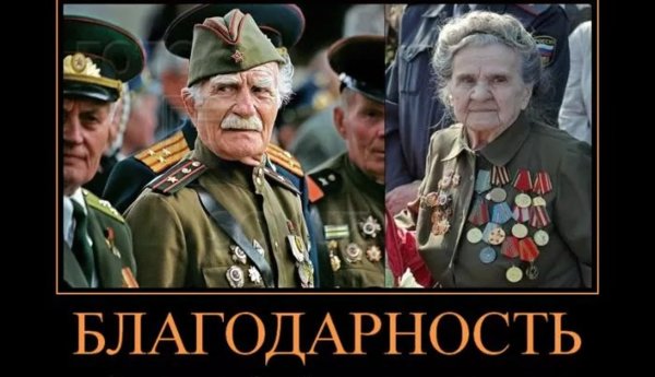 Ветераны демотиваторы