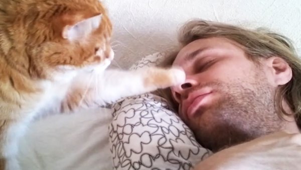 Добро пожаловать в обезьянник