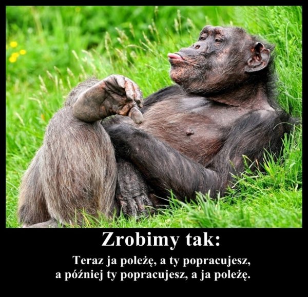 Они еще поклоняются нам дитя