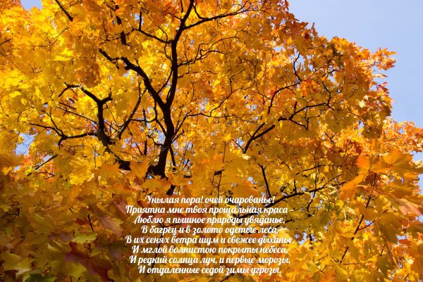 Унылая пора очей очарованье