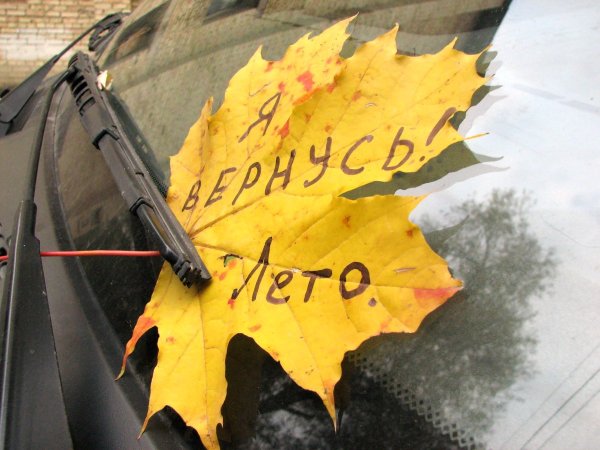 Лето закончилось