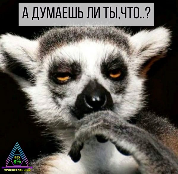 Гриб радоздь