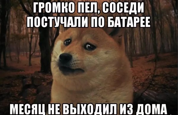 Енотовидная собака зубы