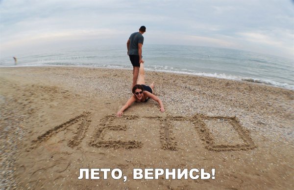 Лето картинки прикольные