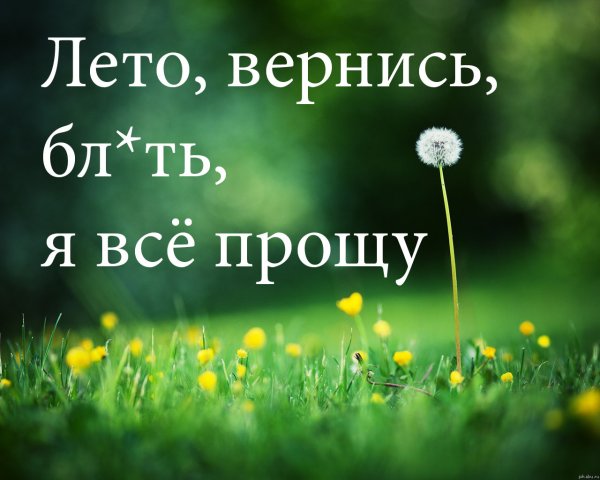 Фразы про конец лета