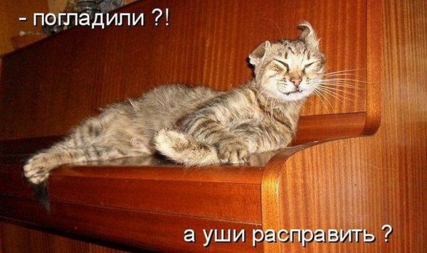 Смешные надписи на дверь