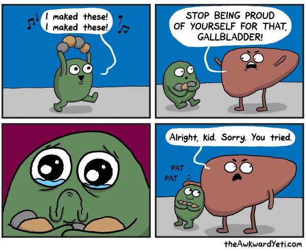 Awkward Yeti gallbladder