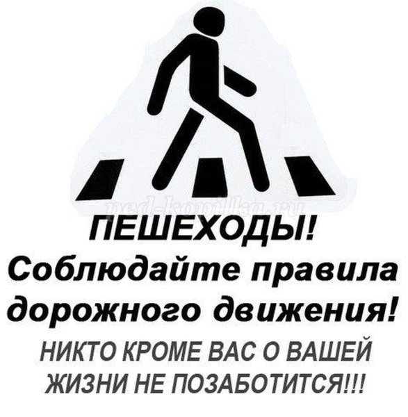 Пешеход соблюдай ПДД