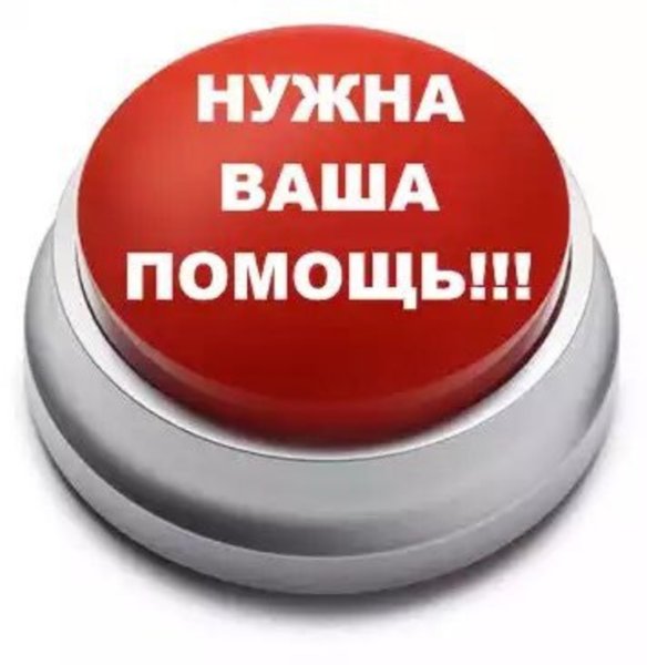 Нужна помощь