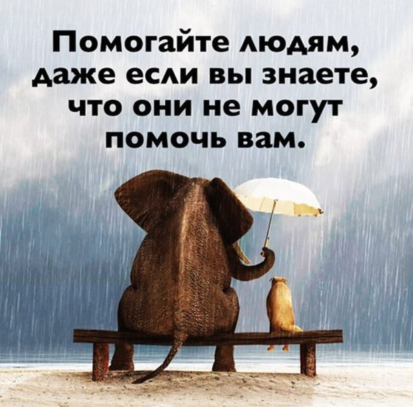 Статусы прикольные ржачные