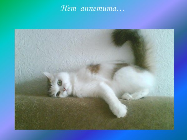 Обида прикол