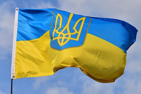 Украинка в поле