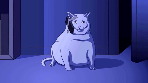 Кот Мем