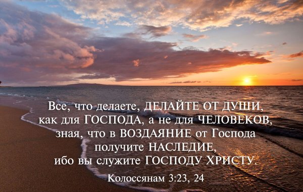 Афоризмы про ненужные советы