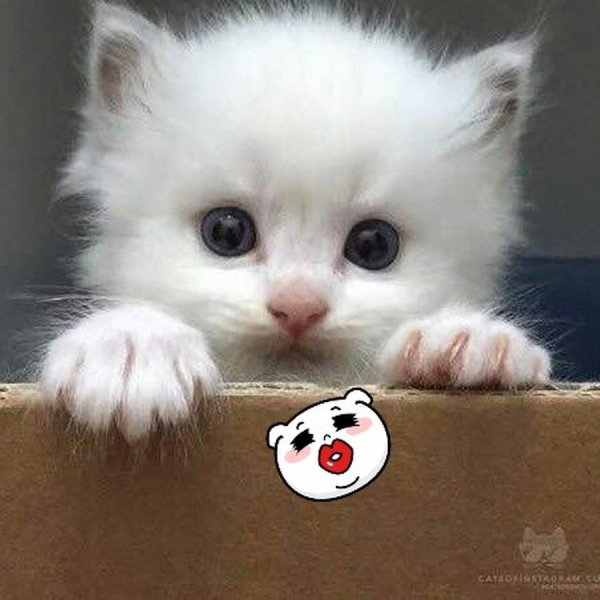 Скучаю по тебе котенок