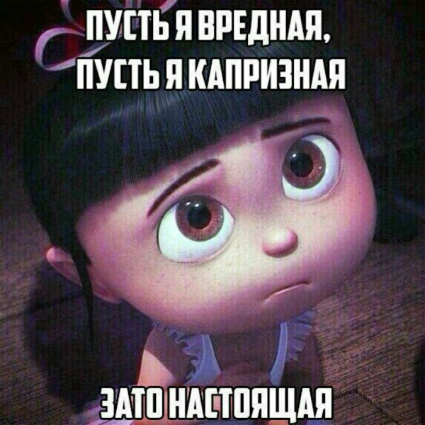 Злой котик с надписью