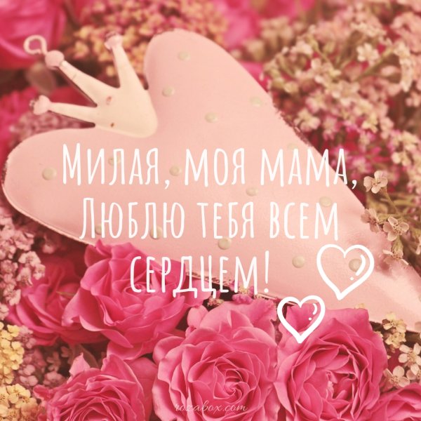 Мамочка я тебя люблю