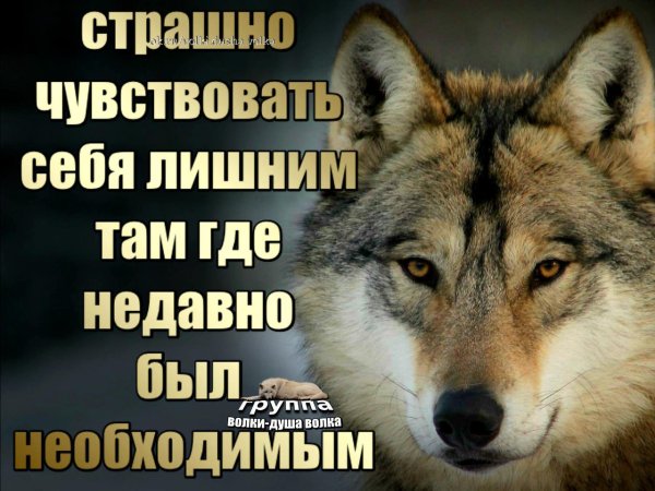 Чувствую себя ненужной