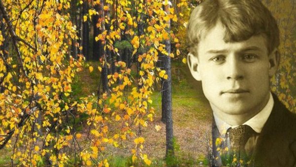 Деревенский пейзаж с березой