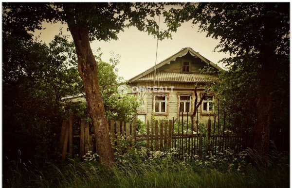 Есенинская Русь береза