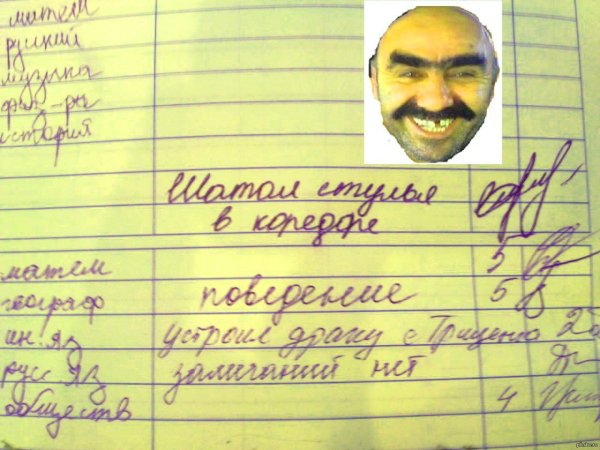 Смешные надписи в дневниках школьников
