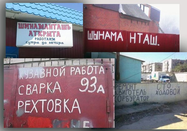 Шутки про осликов