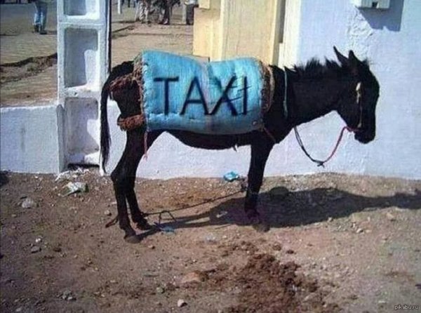 Переобувание резины карикатура