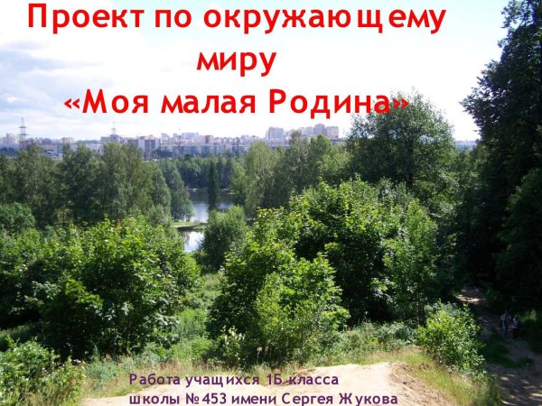 Окружающий мир что такое Родина