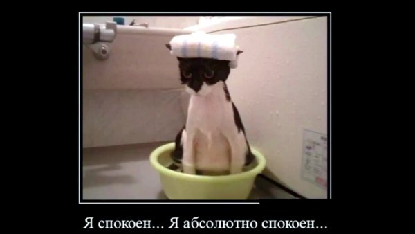 Я спокоен