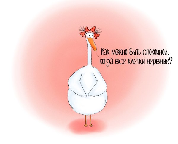 Смешные фразы про спокойствие
