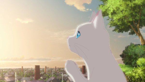 Аниме сквозь слезы я превращаюсь в кошку