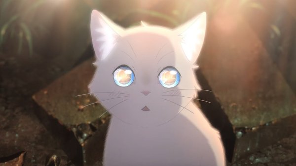 Аниме сквозь слезы я превращаюсь в кошку