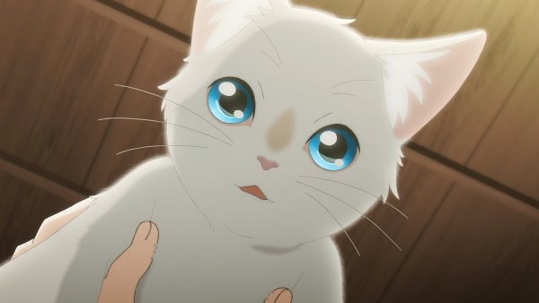 Сквозь слезы я притворяюсь кошкой (2020)