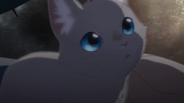 Сквозь слёзы я притворяюсь кошкой мультфильм 2020