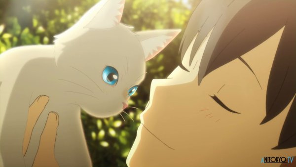 A Whisker away аниме