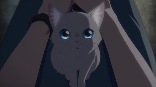 Аниме сквозь слезы я превращаюсь в кошку