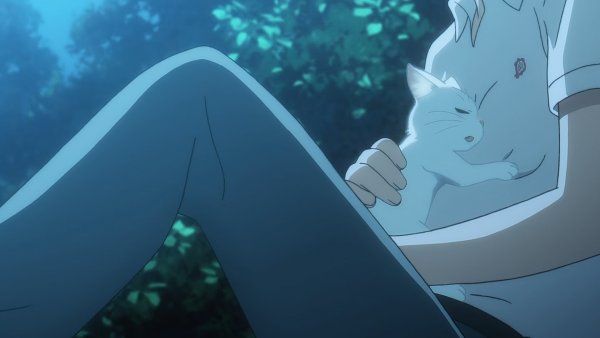 Аниме я плачу притворяясь кошкой