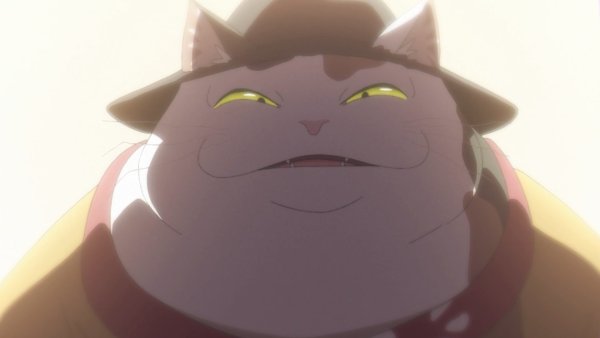 Сквозь слёзы я притворяюсь кошкой