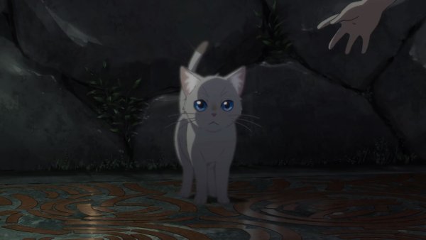 Nakitai Watashi WA Neko o Kaburu аниме