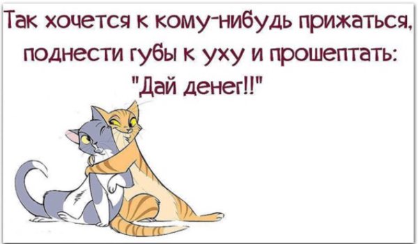 Смешные подписи под картинками
