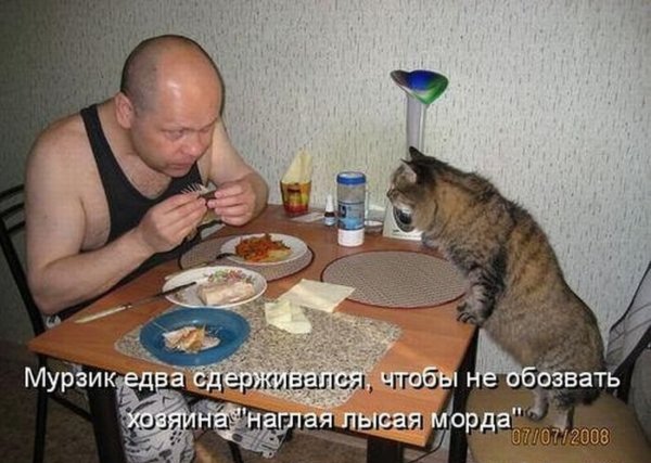 Картинки по клеточкам милые животные и смешные