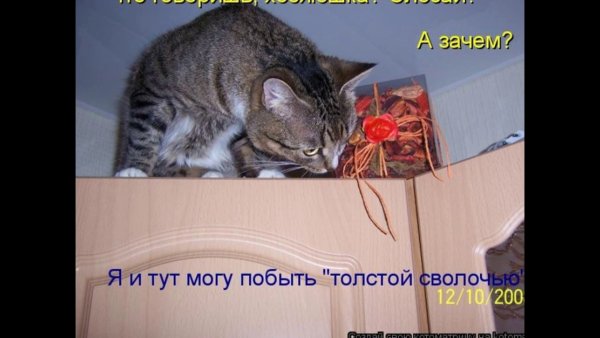 Раскраска не мусори