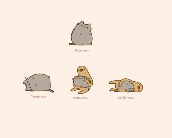 Котик рисунок Минимализм