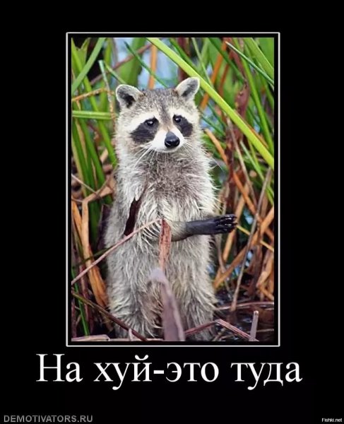 Прикольные комплименты парню