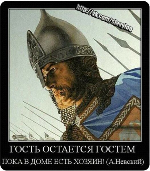 Александр Невский профиль