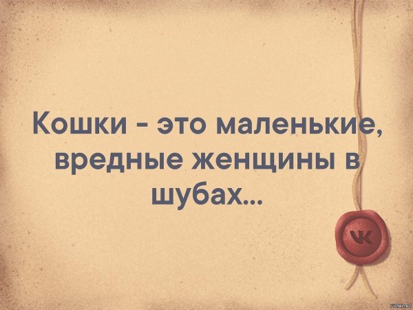 Жить нужно ради тех кому ты нужен постоянно а не временно