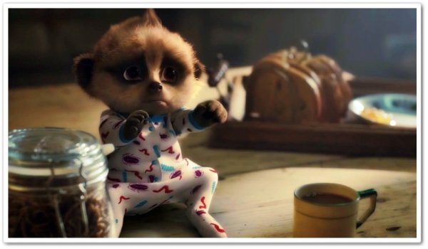 Meerkat Baby Oleg мультфильм